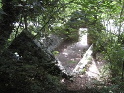 IMG_8975
