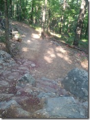 Photo_08122B1C-5484-066C-EB4D-89184BFC1CE7