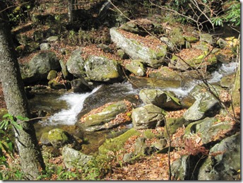 315642_10150936717655355_281662905354_21744155_150521949_n