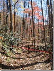 381023_10150936716175355_281662905354_21744147_1993180575_n