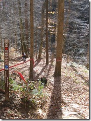 388329_10150936736415355_281662905354_21744255_156042271_n