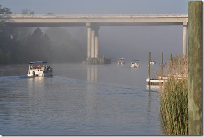 11193411_10205176611032657_6328926178108948221_n