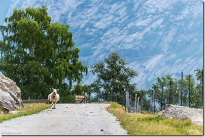 10490095_1495849593983489_1076592854289119206_o