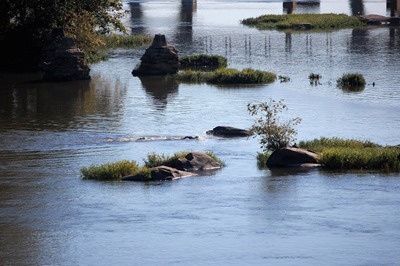 14711091_10210579905323591_503396613996190270_o