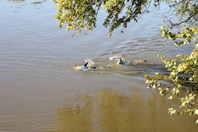 14753407_867823236650959_1481959883132078977_o