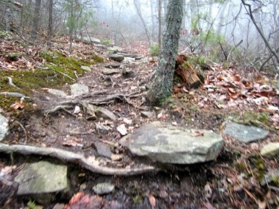 trail1