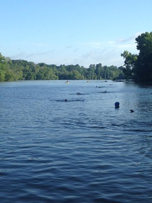 19748327_10211477213584295_8666326120262337705_n