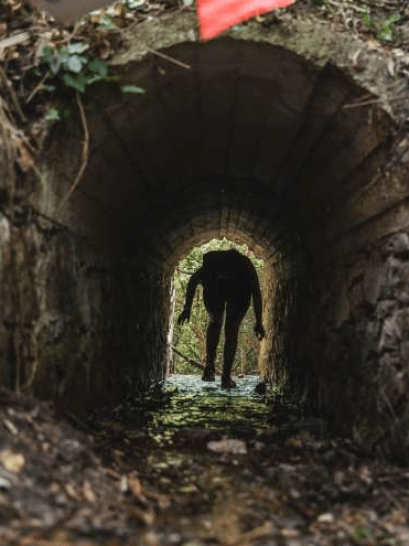 Silhouette of a person walking through a dark tunnel with water flowing on the ground, surrounded by vegetation.